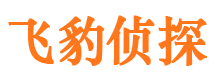 繁峙市侦探调查公司